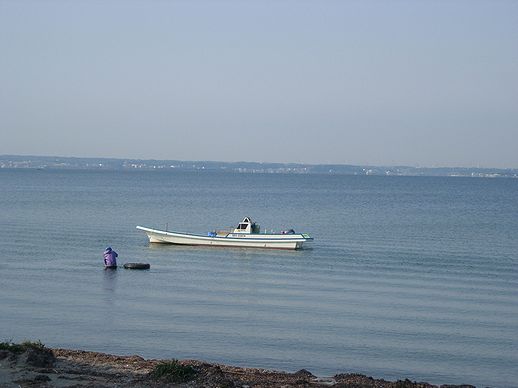 浜名湖の西岸が向こうに見えます
